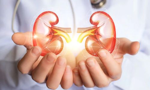 Are CBD Gummies Bad For Your Kidneys