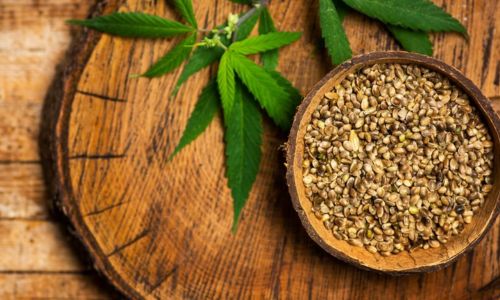 Are Hemp Seeds Marijuana
