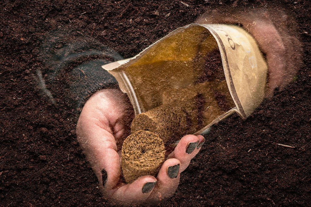 Preparing Your Soil for CBD Seeds